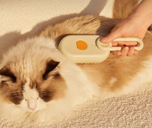 Cepillo de vapor 3 en 1 para gatos